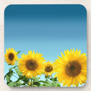 Elegant Sunflowers on Sky Blue Shades Coaster