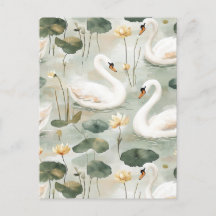 Elegant swans