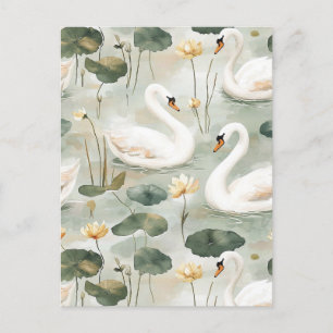 Elegant swans Postcard