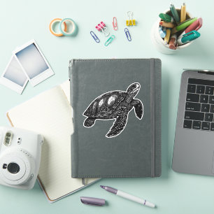 Elegant Swimming Old Water Turtle Copy
