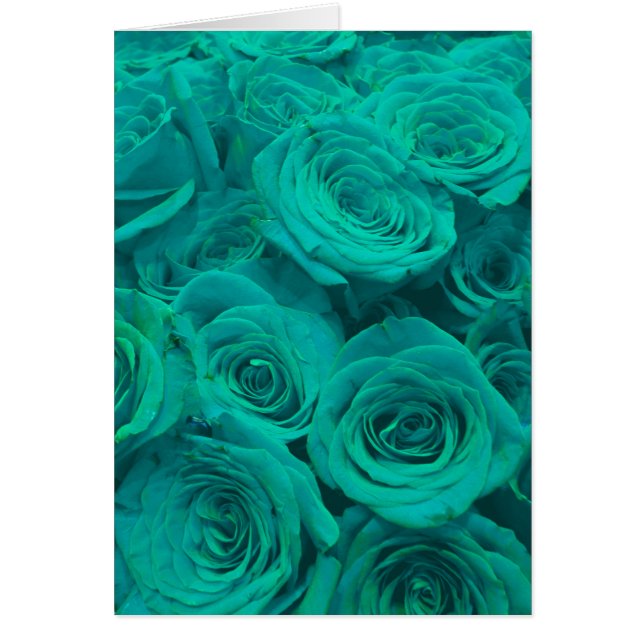Elegant teal green roses  (Front)