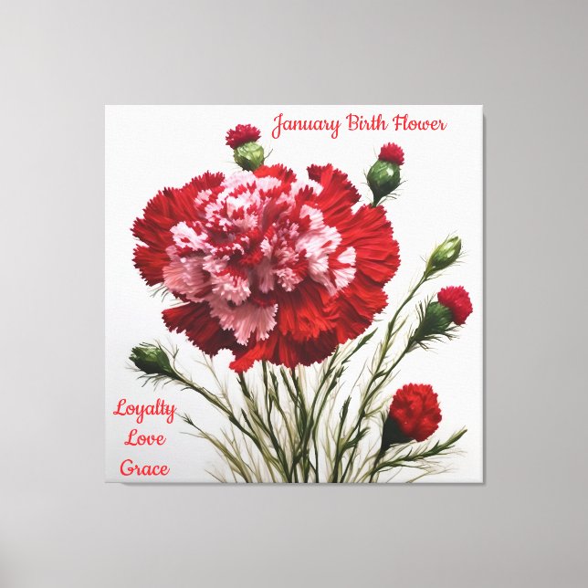 Elegant & Timeless January Birth Flower Carnation  Canvas Print (Front)