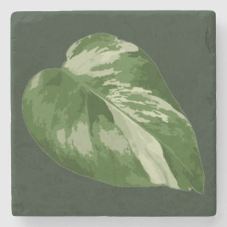 Elegant Tropical Leaf – Rare Plant Art Stone Coaster