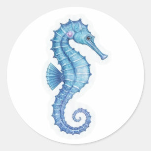 Elegant Tropical Seahorse - Ocean Nature Beauty St Classic Round Sticker