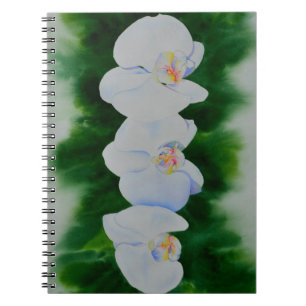 Elegant tropical white watercolor orchid painting  notebook