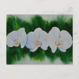 Elegant tropical white watercolor orchid painting postcard