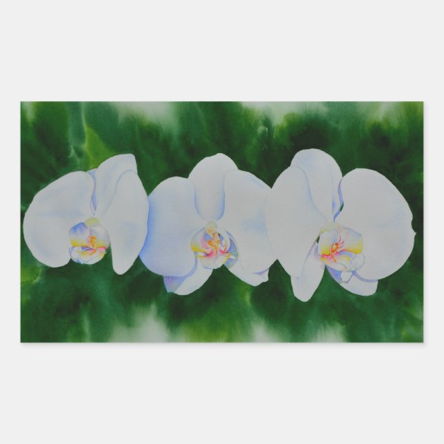 Elegant tropical white watercolor orchid painting  rectangular sticker (Front)