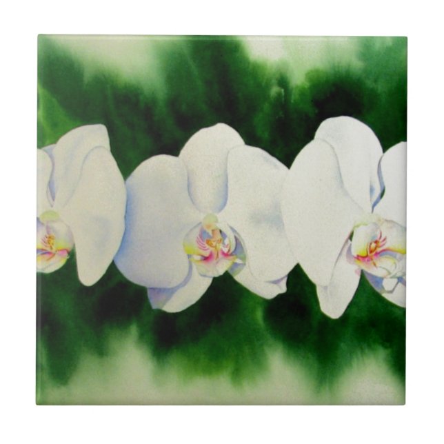 Elegant tropical white watercolor orchid painting  tile (Front)