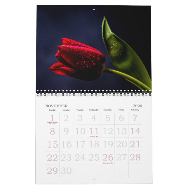 Elegant Tulip and Rose Floral Flowers Photography Calendar (Nov 2026)