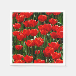 Elegant Tulip and Rose Floral Flowers Photography Napkin