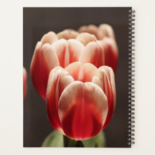 Elegant Tulip and Rose Floral Flowers Photography Planner