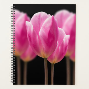 Elegant Tulip and Rose Floral Flowers Photography Planner