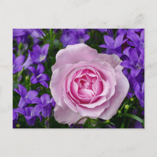 Elegant Tulip and Rose Floral Flowers Photography Postcard