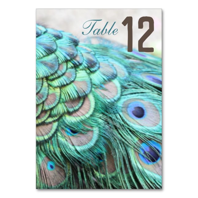 Elegant Vibrant Teal Peacock Feather Wedding Table Table Number (Front)