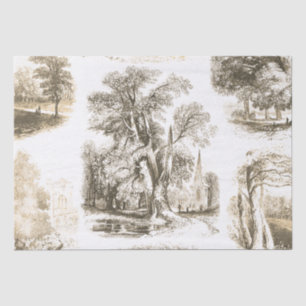Elegant Vintage Beige French Country Toile Tissue Paper