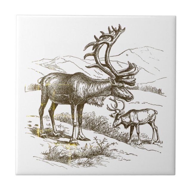 Elegant Vintage Beige Mountain Reindeer  Tile (Front)
