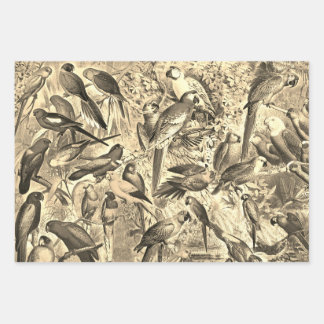 Elegant Vintage Beige Tropical Birds Parrots Wrapping Paper Sheet