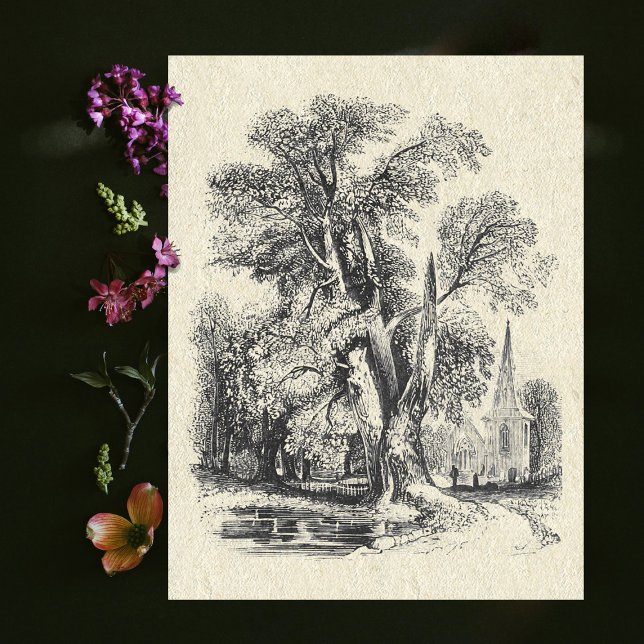 Elegant Vintage Black White Church English Country Postcard (Creator Uploaded)