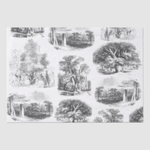 Elegant Vintage Black White French Country Toile Tissue Paper