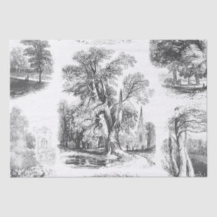 Elegant Vintage Black White French Country Toile Tissue Paper