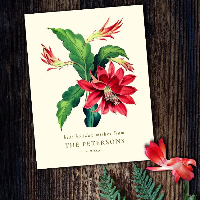 Elegant Vintage Botanical Christmas Cactus Flower Postcard (Creator Uploaded)