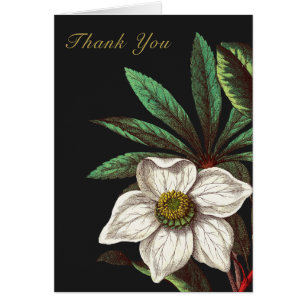 Elegant Vintage Botanical Christmas Rose Flower