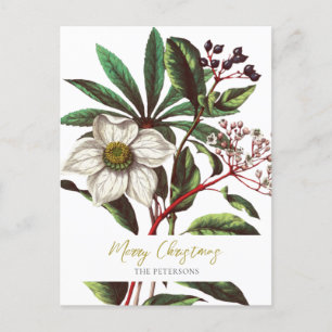 Elegant Vintage Botanical Christmas Rose Flower Holiday Postcard