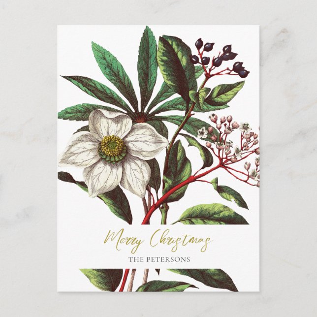 Elegant Vintage Botanical Christmas Rose Flower Holiday Postcard (Front)