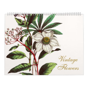 Elegant Vintage Botanical Flower Illustrations  Calendar
