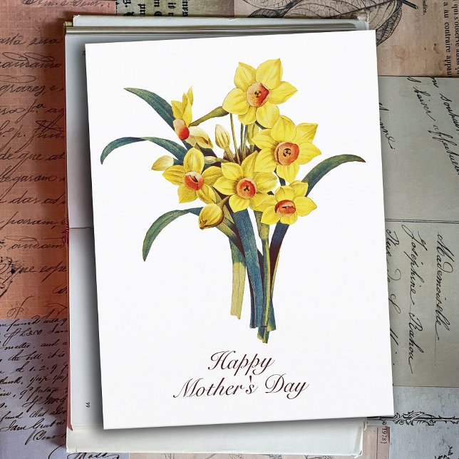 Elegant Vintage Botanical Flowers Yellow Daffodils Postcard (Creator Uploaded)