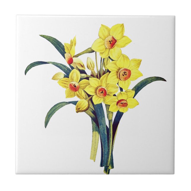 Elegant Vintage Botanical Flowers Yellow Daffodils Tile (Front)