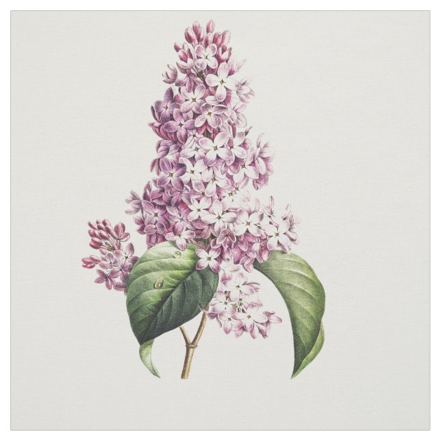 Elegant Vintage Botanical Purple Lilac Blossom Fabric (Swatch)