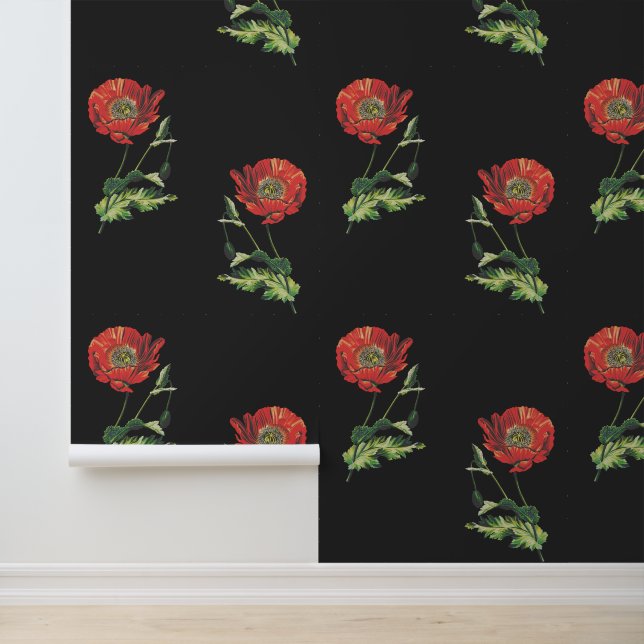 Elegant Vintage Botanical Red Poppy Black Wallpaper (Application)