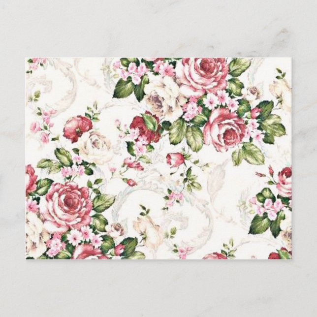 Elegant Vintage Floral Cottage Cream Rose Postcard (Front)