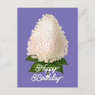 Elegant Vintage Hydrangea Paniculata Birthday Postcard