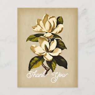 Elegant Vintage Magnolia Flower Thank You Postcard