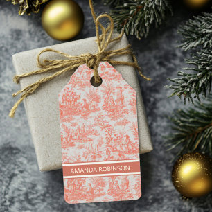 Elegant Vintage Orange Toile French Country Gift Tags