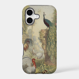 Elegant Vintage Peacock & Other Birds