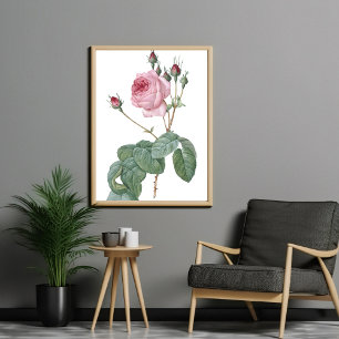 Elegant Vintage Pink Rose Botanical Art Poster
