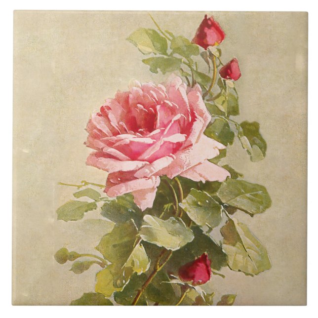 Elegant Vintage Pink Roses Tile (Front)