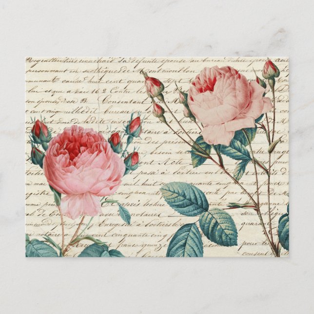Elegant Vintage Roses on Handwriting French Script Postcard (Front)
