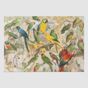 Elegant Vintage Tropical Birds Parrots Decoupage Tissue Paper