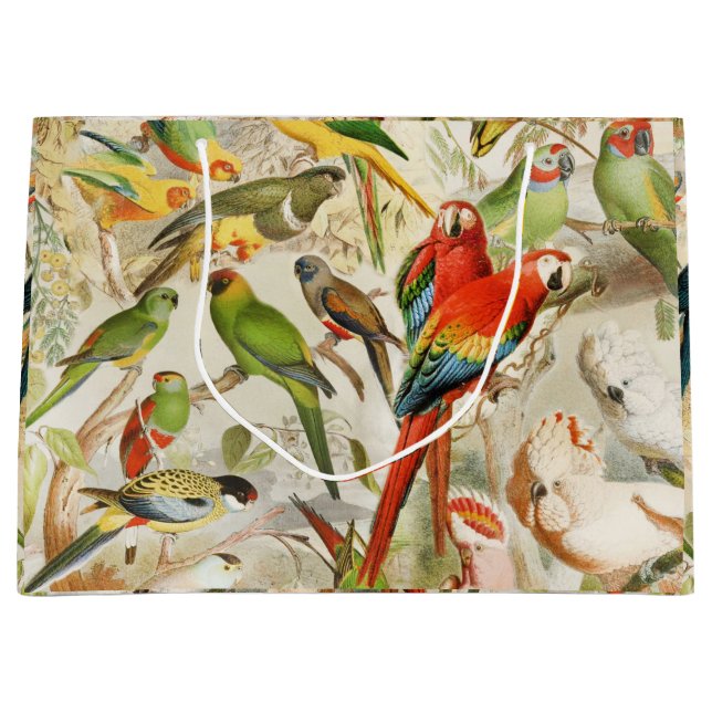 Elegant Vintage Tropical Birds Parrots Large Gift Bag (Front)