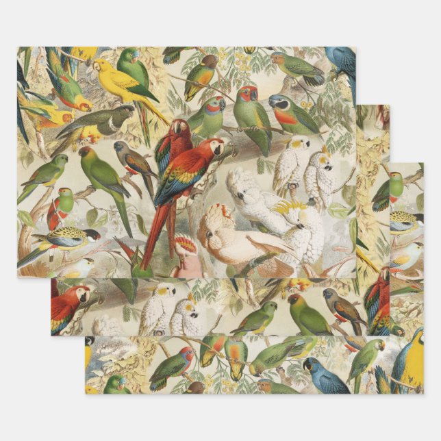 Elegant Vintage Tropical Birds Parrots Wrapping Paper Sheet (Set)