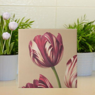 Elegant Vintage Tulip Art Floral Botanical Tile