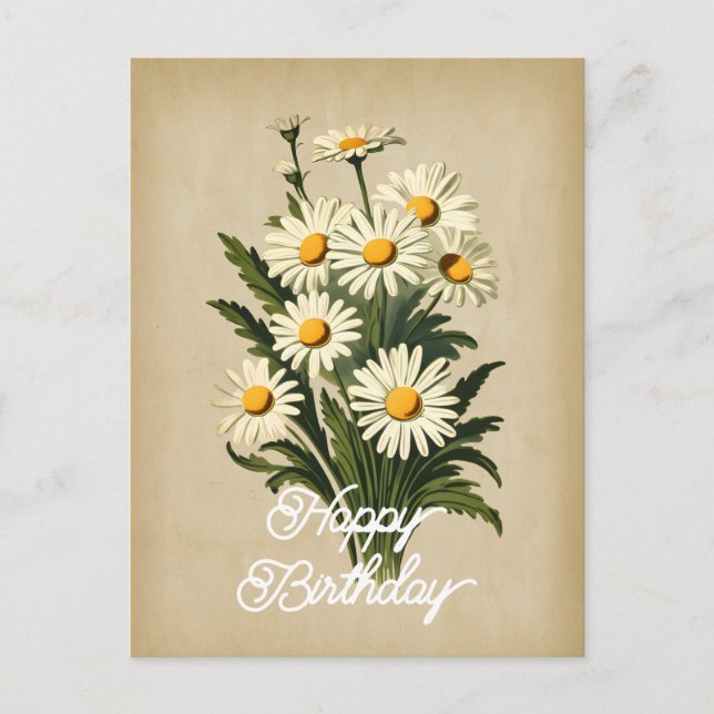 Elegant Vintage White Daisy Flower Happy Birthday Postcard (Front)