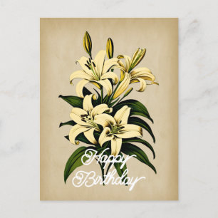 Elegant Vintage White Lily Flower Happy Birthday Postcard