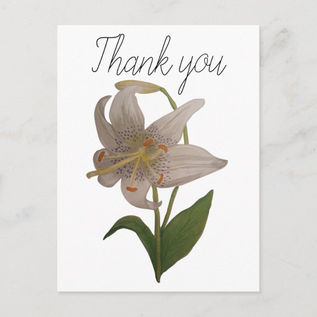 Elegant Vintage White Lily Flower Thank You Postcard (Front)