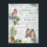 Elegant Vintage Winter Christmas Robins Holiday Postcard<br><div class="desc">Richly-detailed charming vintage Christmas composition featuring rustic woodland ephemera including robins,  snow-covered boughs of holly and pine,  engraved script,  Christmas-Time poem in engraved birch frame,  and elegant white scrolls and flourishes on distressed light sky blue background.</div>