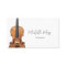 Elegant Violinist Violin Music Teacher